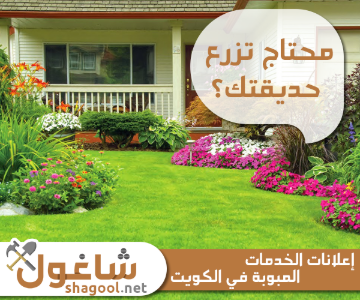 زراعة وتنسيق حدائق في الكويت – إعلانات شاغول